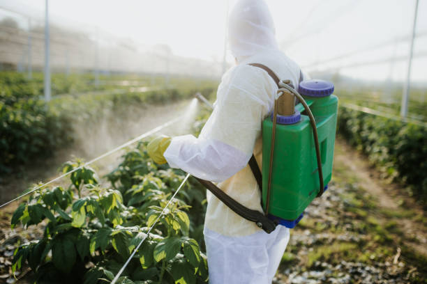 Slocom, AL Pest Control Company